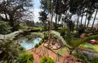 Commercial Property with Garden in Kikuyu Town - 1