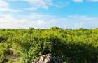 Land at Watamu - 16