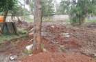 0.0125 ac Residential Land in Kyuna - 3