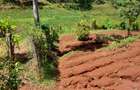 1.0 ac Land at Kandara Road - 12