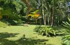 1.8 ac Residential Land in Kitisuru - 3