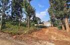 0.25 ac Residential Land in Kiambu Road - 3