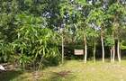 Land at Diani Beach Road - 1