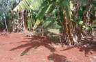 0.25 ac Land at Ruaka - 3