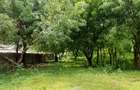 Land at Kilifi Town - 19