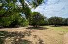 2 ac Land in Nyali Area - 1