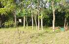 Land at Diani Beach Road - 3