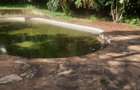 5 ac Land at Kabarnet Gardens - 13