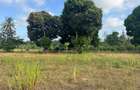 30 ac Land at Kikambala Bomani - 1