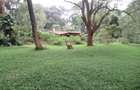 4 ac Land at Mushroom Gardens - 16