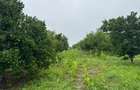 Land in Kilifi - 8
