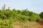 Land in Diani - 13