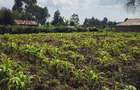 Land at Limuru Road - 6