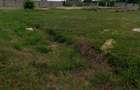 Land in Bamburi - 4
