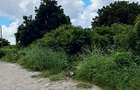 Land at Malindi - 6