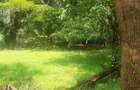 0.75 ac Residential Land at Naivasha Road - 7