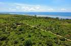10 ac Land in Vipingo - 4