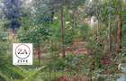 0.125 ac Land at Kasphat Estate - 8