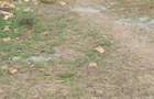 4.8 ac Commercial Property with Garden in Athi River - 14