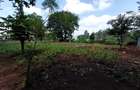 Residential Land at Kirawa Road - 2