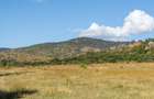 100 ac Land at Lolldaiga Valley - 4