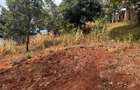 0.25 ac Land in Nyeri - 11