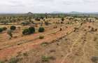 0.125 ac Land at Liani - 5