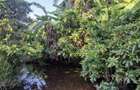 32 ac Land in Diani - 2