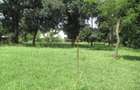 Residential Land at Koitobos Rd - 11