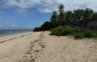 2.7 ac Land at Kikambala Beach - 14