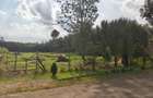 Residential Land in Garden Estate - 3