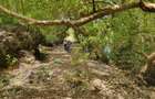 7 ac Land in Watamu - 6