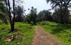 Residential Land at Mandera Road - 12