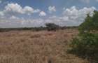 1,000 ac Land at Laikipia Posta - 5