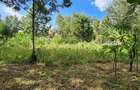 0.202 ha Residential Land at Rimpa - 13