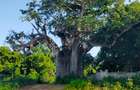 Land in Vipingo - 1