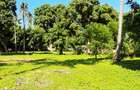 Land at Mtwapa - 13