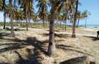 20 ac Land at Kikambala Beach - 7