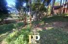 4 Bed House with Garden in Kyuna - 4