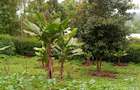 4 Bed House with En Suite in Ngong - 11
