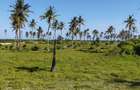 Land in Kilifi - 13