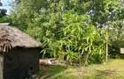 Land at Diani Beach Road - 2