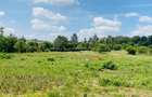 19 ac Land at Kenol-Makutano Highway - 20