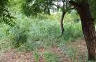 Land in Watamu - 7