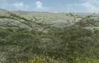 Land in Mombasa Road - 7