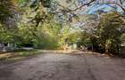 Commercial Land in Diani - 13