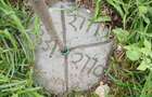 2 ac Land in Watamu - 8