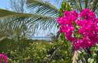 4 Bed Villa with En Suite at Watamu - 4