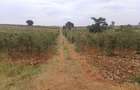 Land in Thika Road - 13
