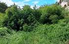 Land at Malindi - 4